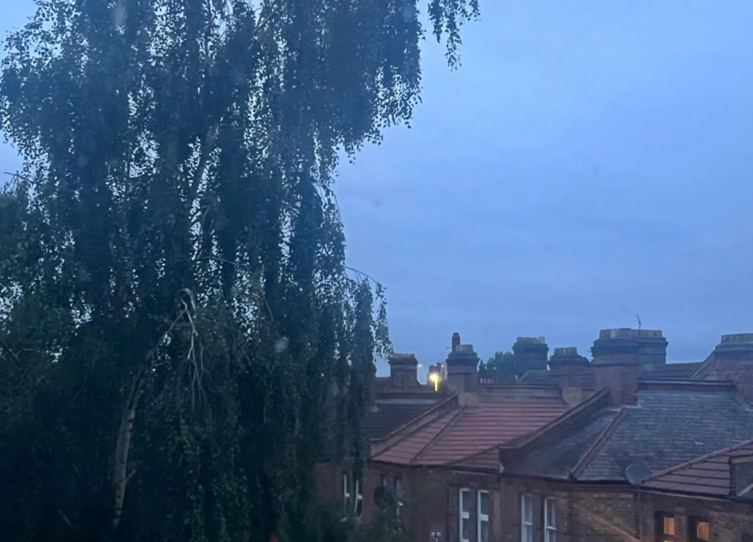 Cozy Flat In London location